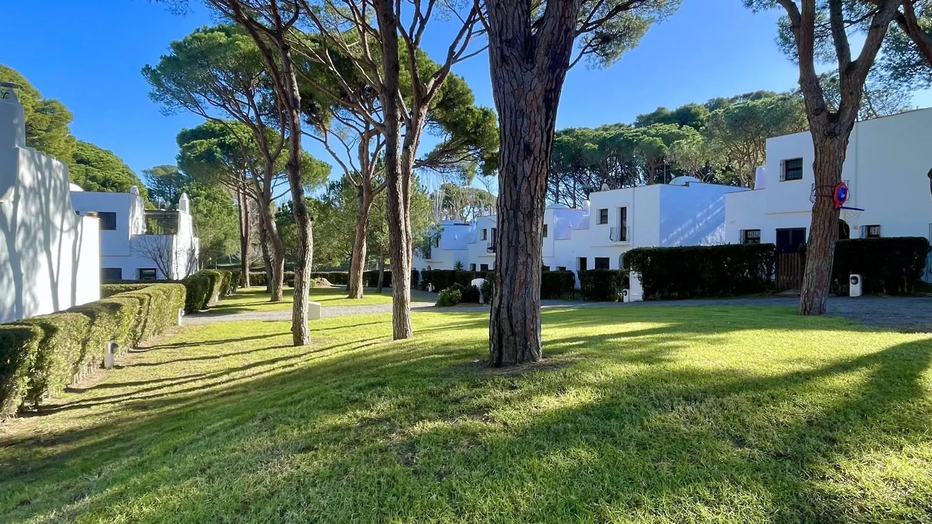 Piverd Golf 14 Pals Spain